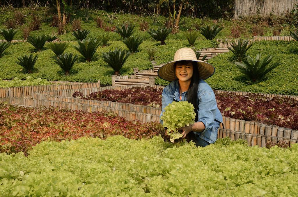 Pa Sak Tong Hotel Chiang Rai Bagian luar foto