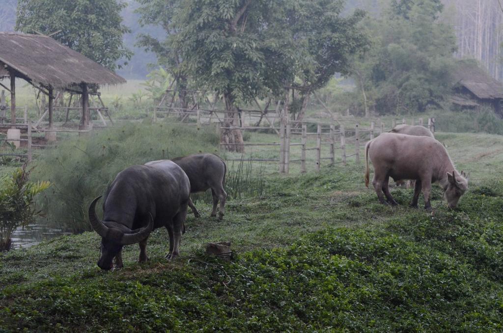 Pa Sak Tong Hotel Chiang Rai Bagian luar foto
