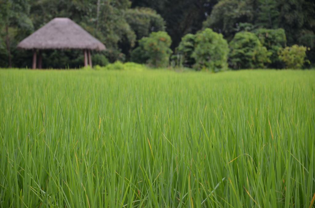 Pa Sak Tong Hotel Chiang Rai Bagian luar foto