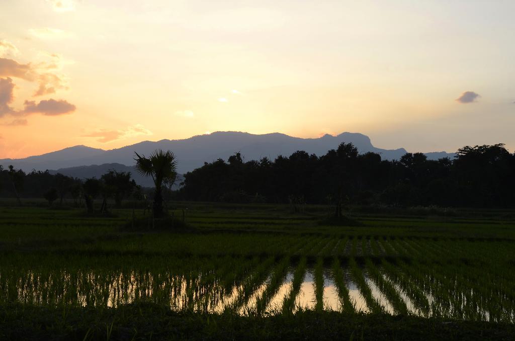 Pa Sak Tong Hotel Chiang Rai Bagian luar foto