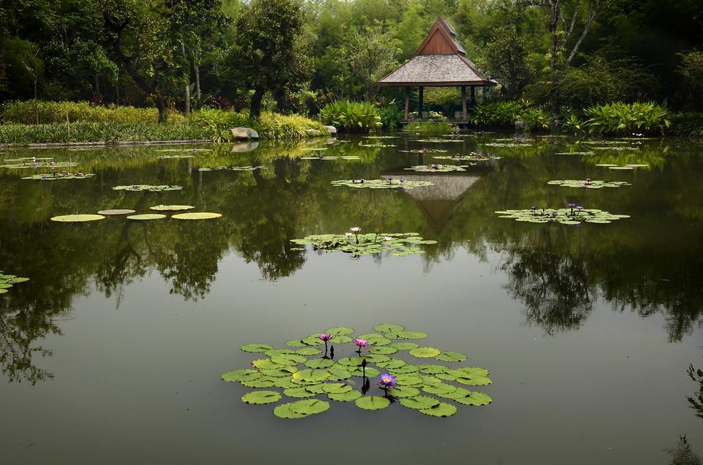 Pa Sak Tong Hotel Chiang Rai Bagian luar foto